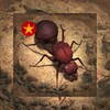 私人时刻播放器